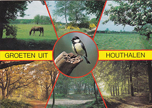 Topografische ansichtkaart uit Houthalen (Belgi)