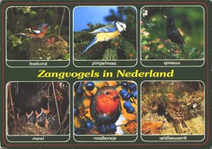 Topografische ansichtkaart uit Nederland