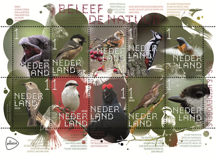 vogelserie 2010 PostNL Beleef de natuur, vel met 10 zegels