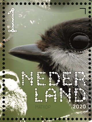 Postzegel PostNL Beleef de natuur, Matkop