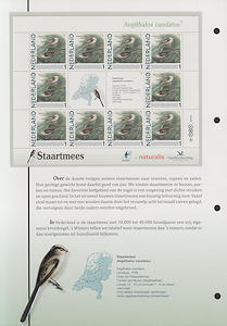 Nederland informatievellen persoonlijke postzegels TNT Pimpelmees kant B