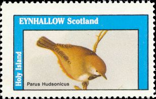 Parus Hudsonicus - 1982