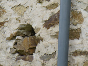 Pimpelmezennest in de muur van Chateau de Lambertie