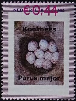 Vogel: Koolmees