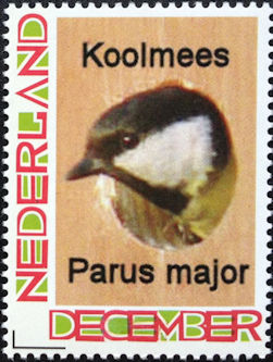 Vogel: Koolmees