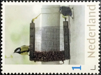 Vogel: Koolmees en Pimpelmees